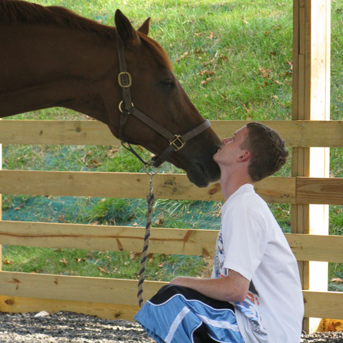 EAP – Equine Assisted Psychotherapy