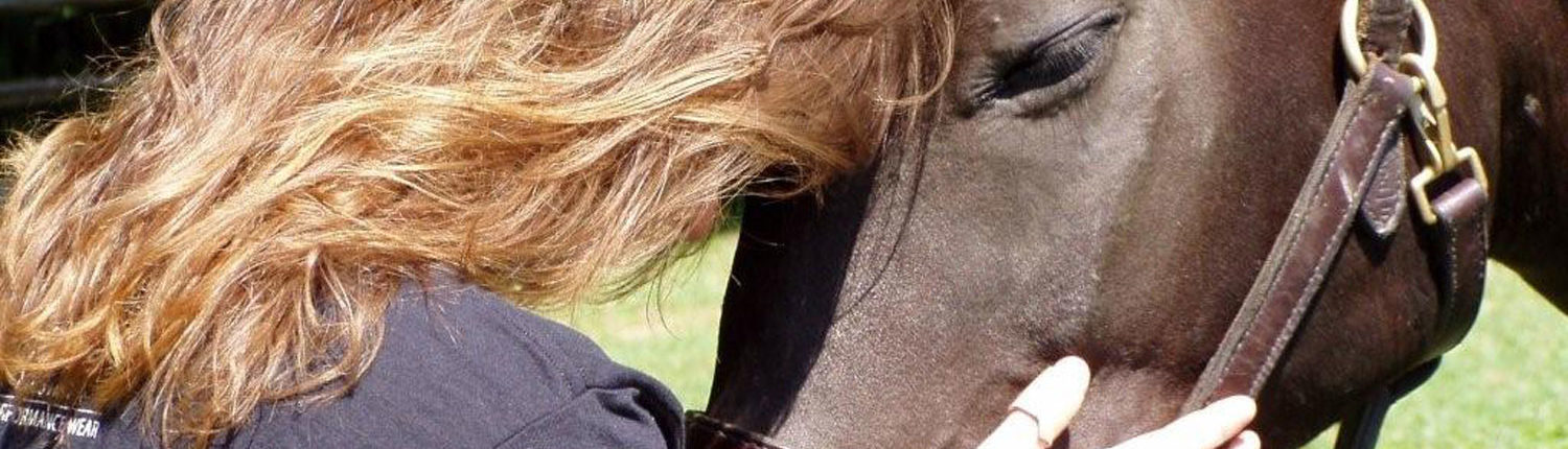 Touch, Heal, Equine Thearpy