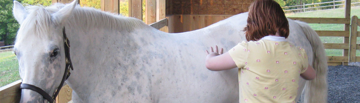 Horse Therapy for Autistic Individuals